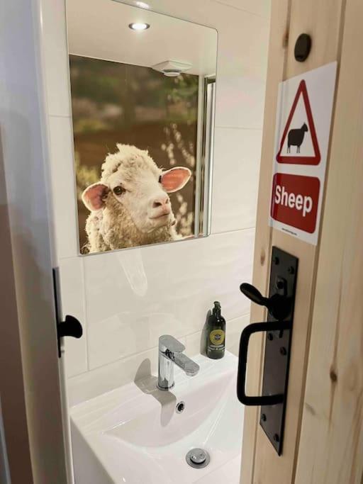 The Walkers' Cwtch Apartment Ffestiniog ภายนอก รูปภาพ